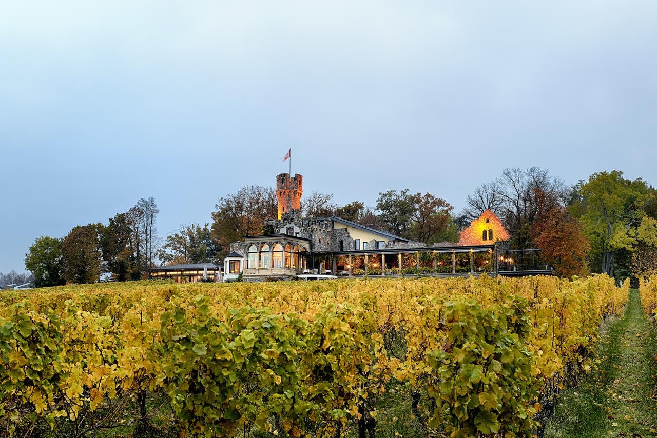 Relais & Chateaux Hotel Burg Schwarzenstein Geisenheim Eksteriør billede